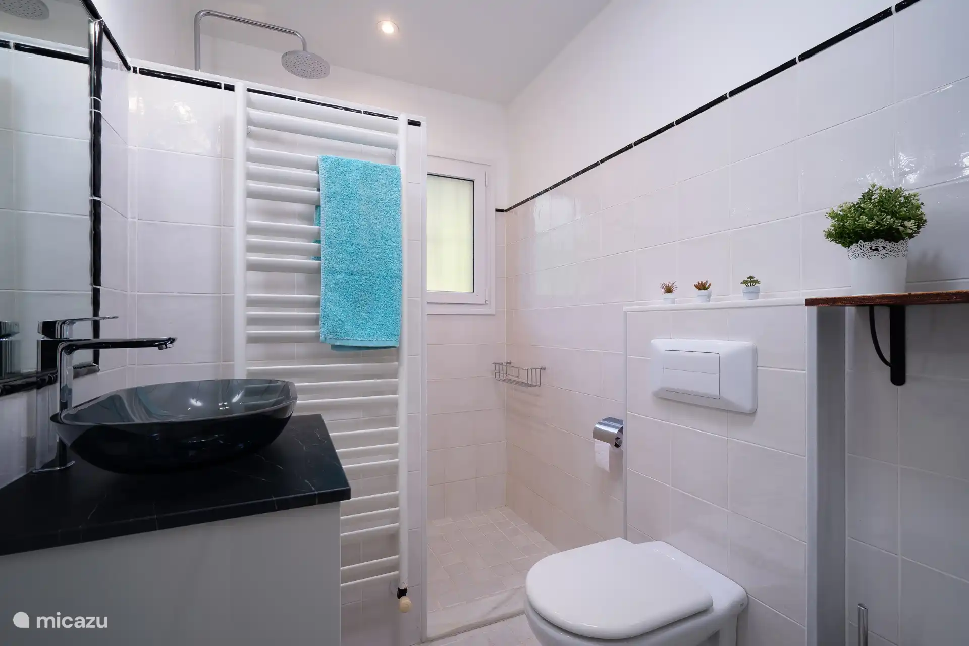 Badkamer met regendouche, toilet en wastafel.