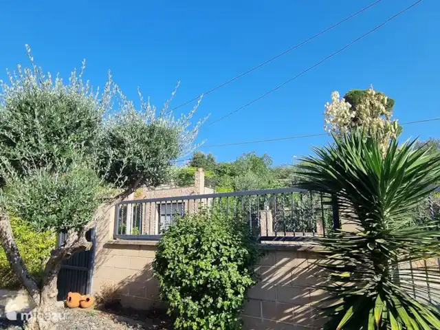 Casa Els Pins met verwarmd zwembad huren in Spanje, Costa Brava, Blanes - villa Rondom het huis