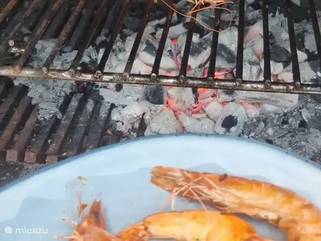 Casa Els Pins met verwarmd zwembad huren in Spanje, Costa Brava, Blanes - villa BBQ