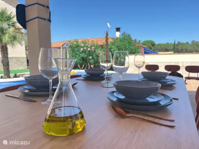 Casa Els Pins met verwarmd zwembad huren in Spanje, Costa Brava, Blanes - villa Dinner, buiten diner