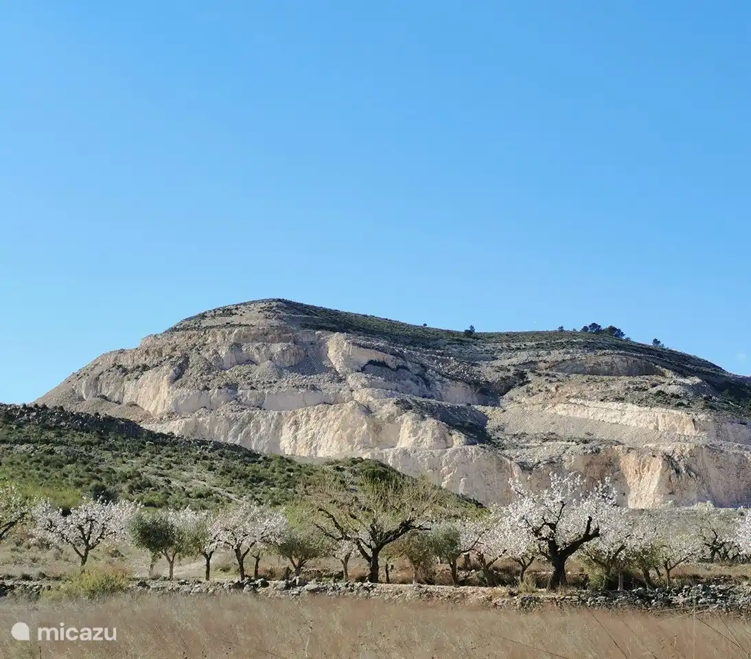 The nature around is beautiful