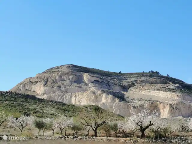 Casa Eryna huren in Spanje, Costa Blanca, Hondón de las Nieves - villa De natuur rondom is prachtig
