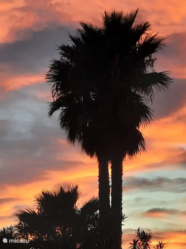 View from the terrace