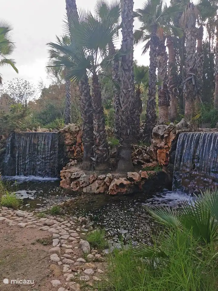 Natural Park in Aspe