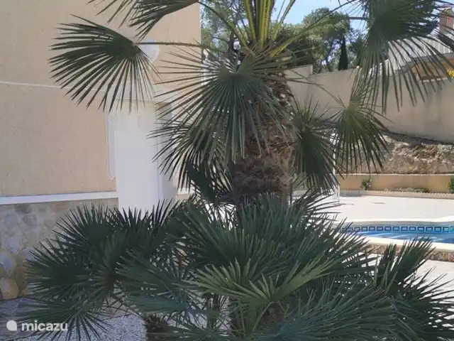 Casa Eryna huren in Spanje, Costa Blanca, Hondón de las Nieves - villa voortuin