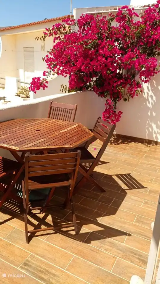 Die Bungavilia kam auf den Balkon, um Hallo zu sagen :-)