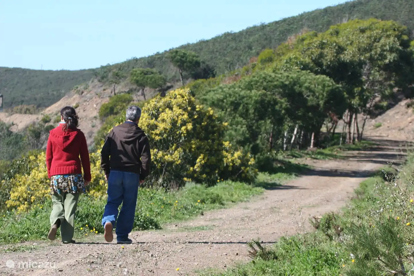 Auf der Natur spazieren gehen