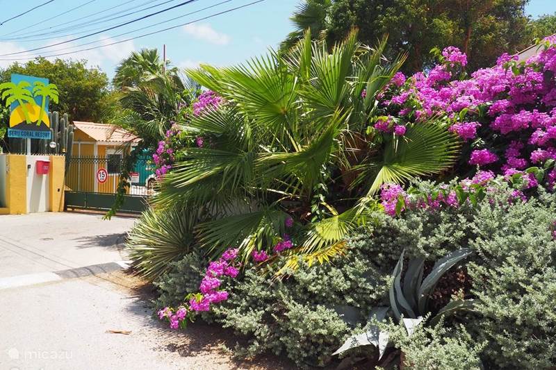 Ferienwohnung Curaçao, Banda Ariba (Ost), Seru Coral Ferienhaus Bungalow Palasio Caribe
