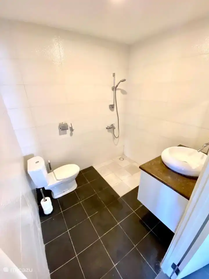 Dusch- und Toilettenraum des Hauptschlafzimmers