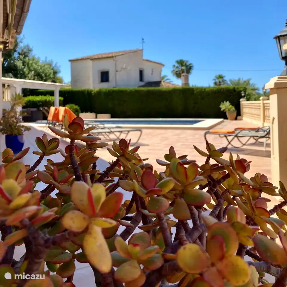 Die großzügige Terrasse rund um den Pool der Villa Maia