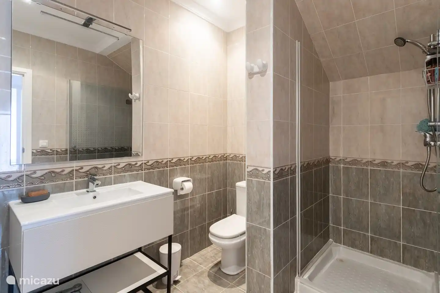 Badkamer met lavabo, toilet en douche 
