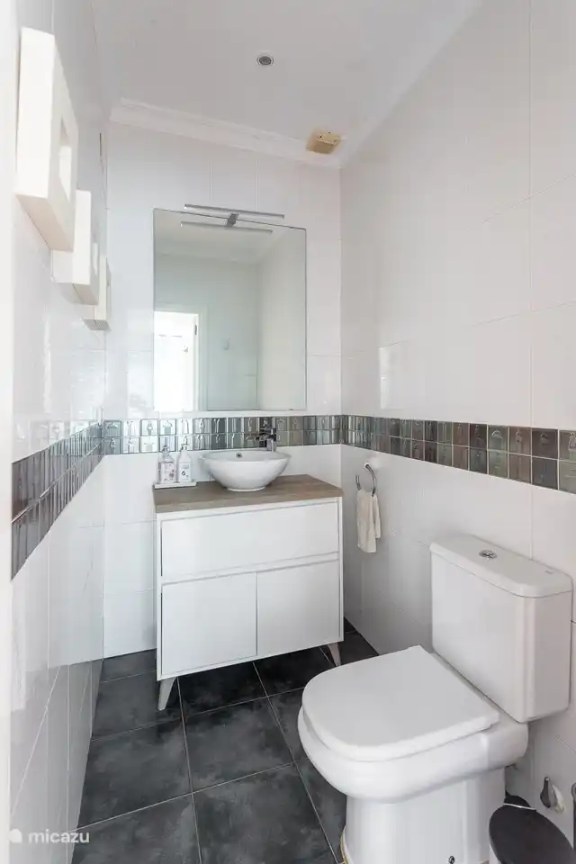 Toilet met lavabo boven