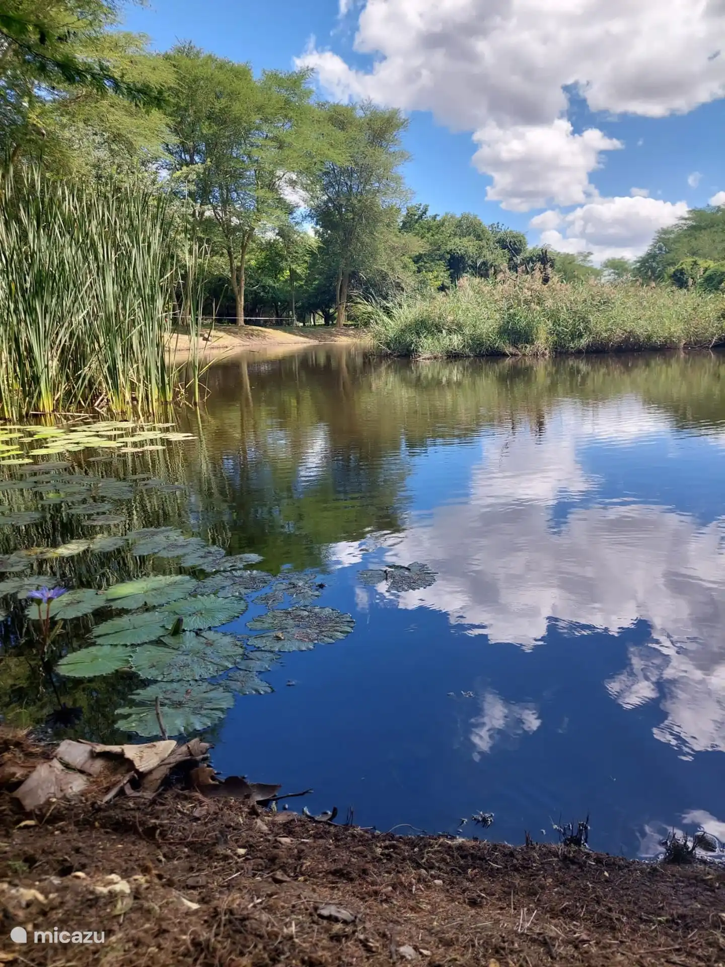 Fischereiteich des SEHOA-Anwesens