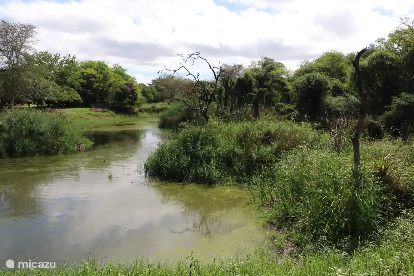 Parque Bushvillas En Kruger 