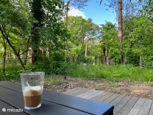 Location de Vacances Pays-Bas, Gueldre, Lochem, maison de vacances - Boshuis Wabi Sabi Profitez en pleine nature