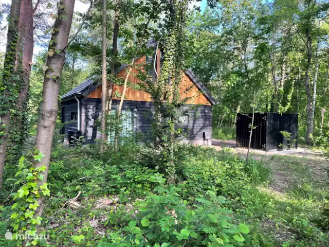 Location de Vacances Pays-Bas, Gueldre, Lochem, maison de vacances - Boshuis Wabi Sabi Vue de côté