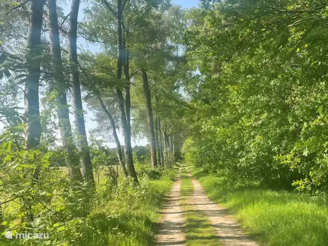 Location de Vacances Pays-Bas, Gueldre, Lochem, maison de vacances - Boshuis Wabi Sabi La nature près de chez vous