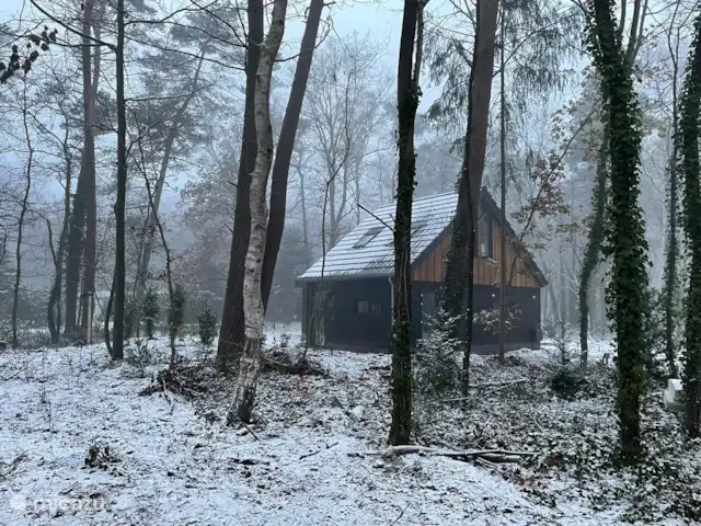 Location de Vacances Pays-Bas, Gueldre, Lochem, maison de vacances - Boshuis Wabi Sabi Aussi beau en hiver