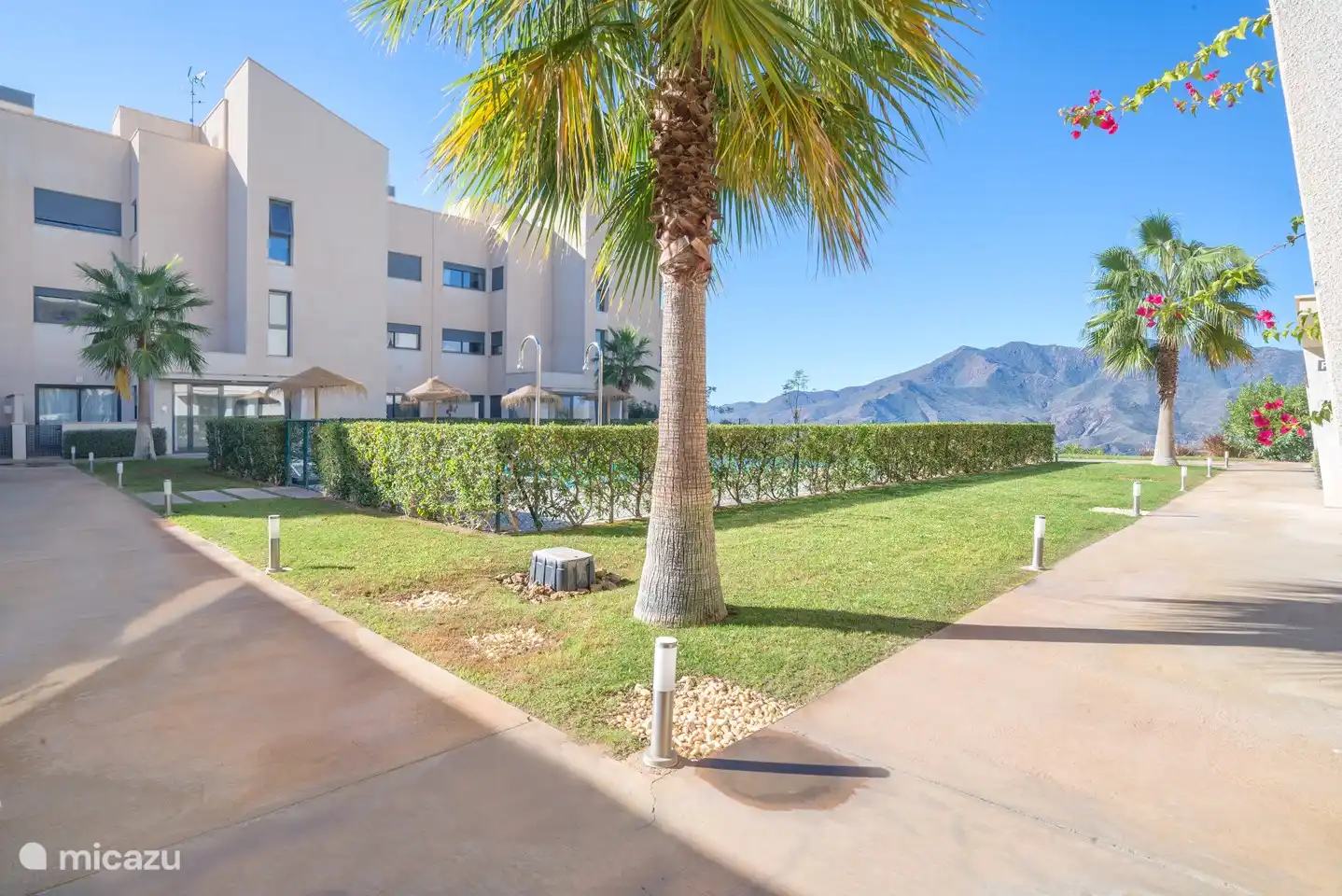 Tuin rondom het zwembad met uitzicht op de bergen.