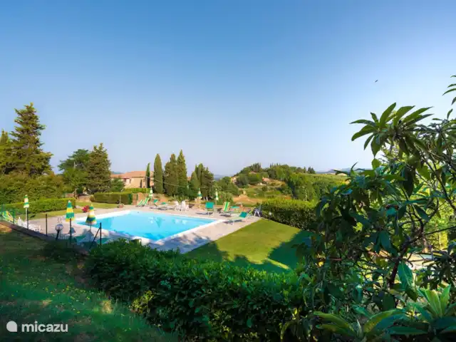 Chalet Olivo - Monti 1824 ® | Italie, Toscane, Casole d`Elsa - maison de vacances piscine - Monti 1824