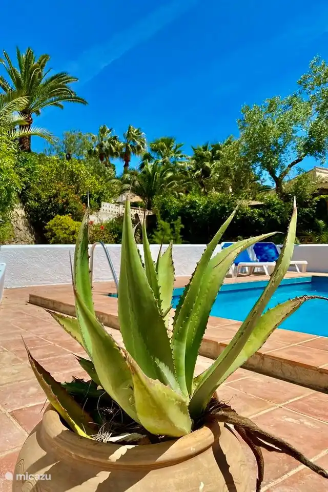 Villa Olivera | Benissa | 6 people in Spain, Costa Blanca, Benissa - villa