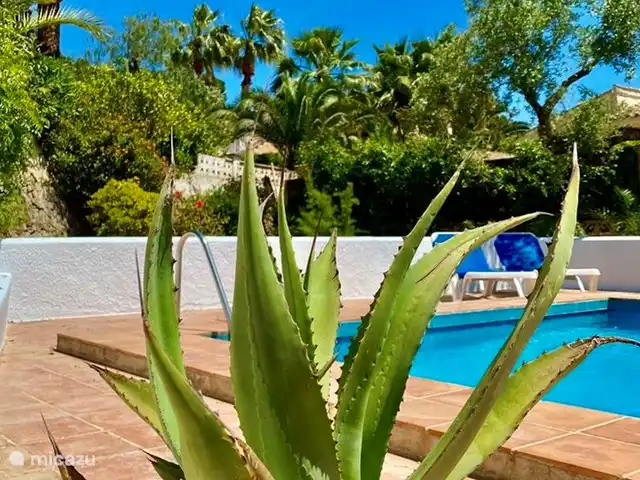 Villa Olivera | Benisa | 6 personas en España, Costa Blanca, Benissa - villa Villa Olivera | Benisa | 6 personas en España, Costa Blanca, Benissa - villa