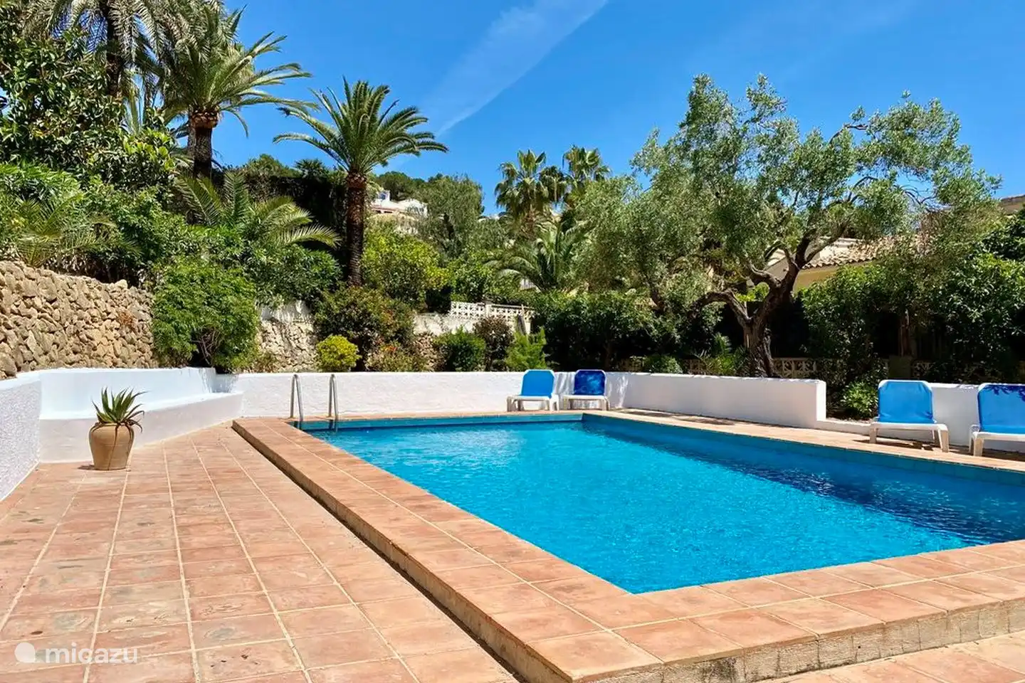 The large swimming pool of Villa Olivera has a spacious surrounding terrace