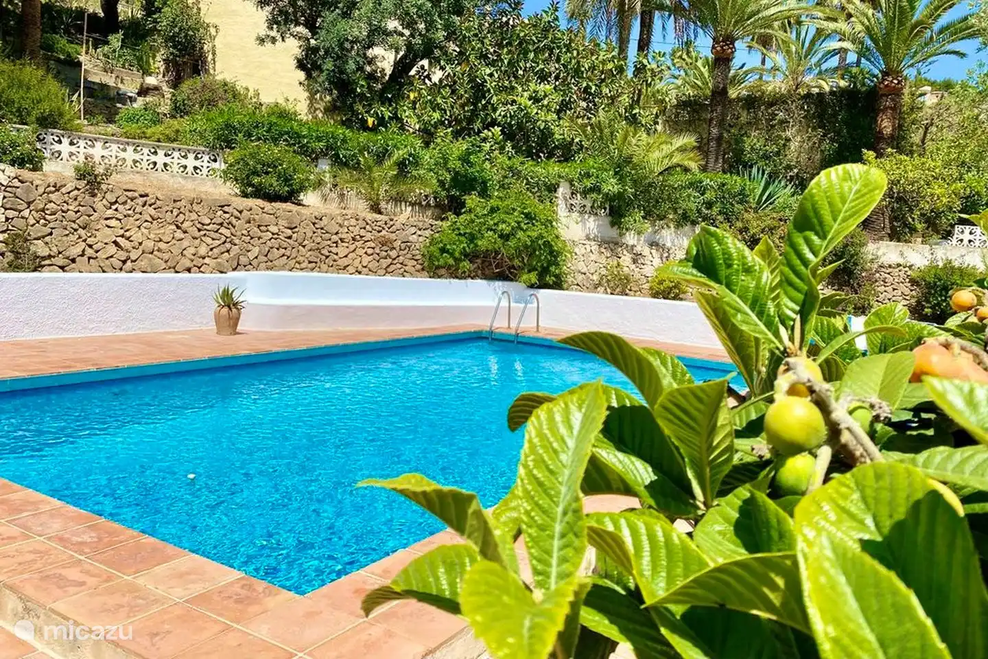 The large private pool of Villa Olivera
