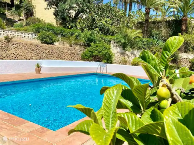Villa Olivera | Benisa | 6 personas en España, Costa Blanca, Benissa - villa La gran piscina privada de Villa Olivera