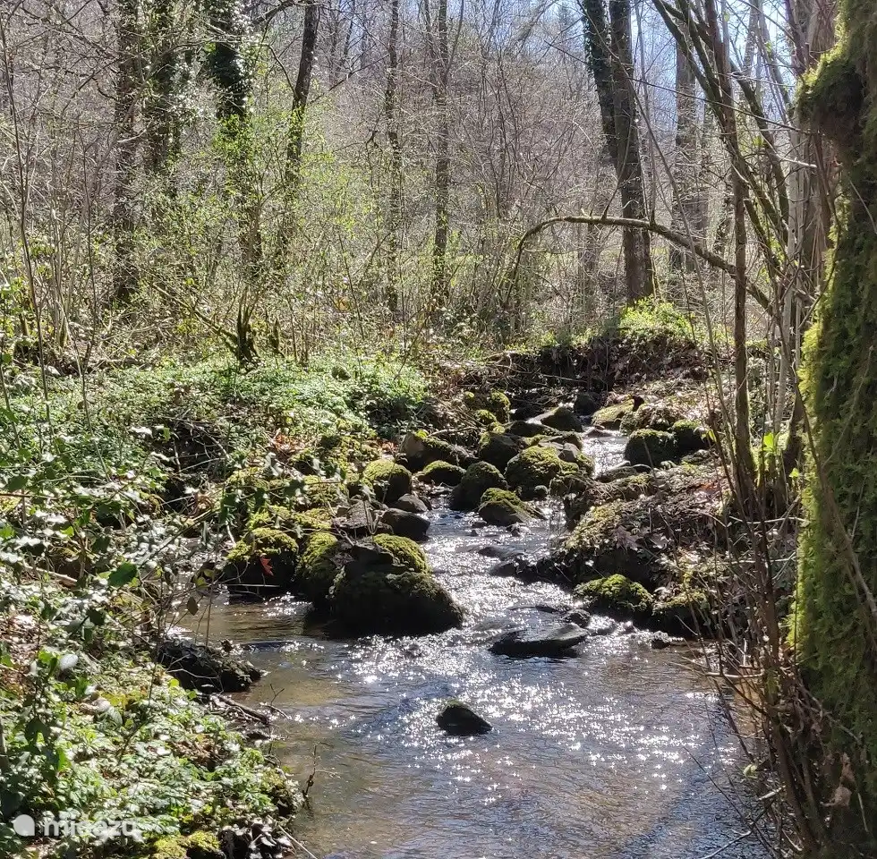 Un ruisseau juste à côté de la maison.
