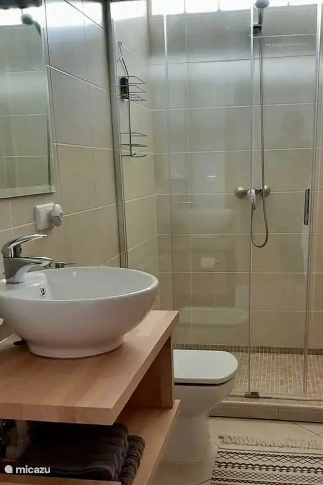 Les salles de bains de la Villa Terramar sont équipées d'une douche à l'italienne, d'un lavabo et de toilettes