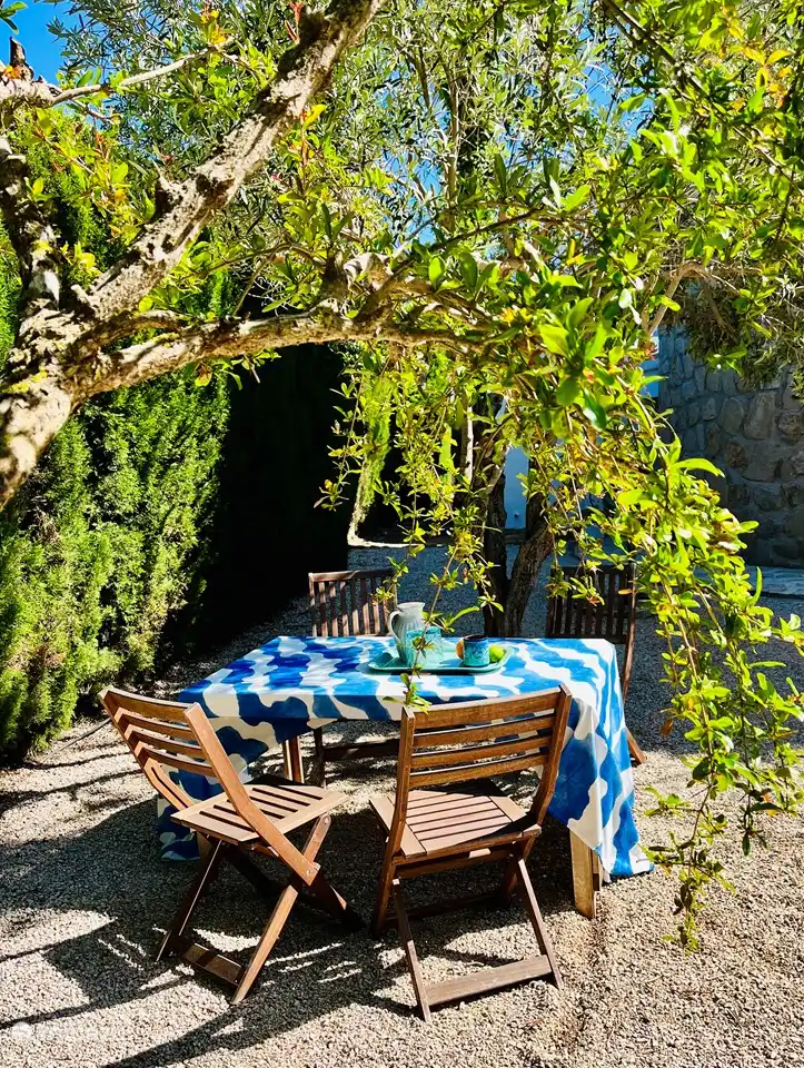 Hinterhof mit schattigem Bereich