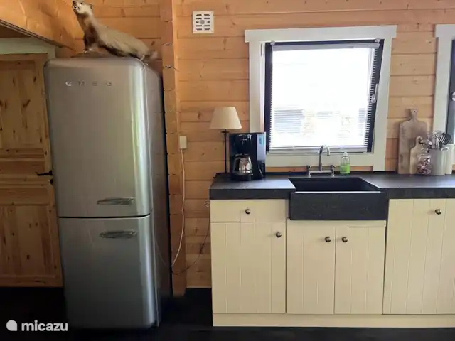 Boshuis De Dollenburcht | Pays-Bas, Drenthe, Spier - bungalow Réfrigérateur SMEG