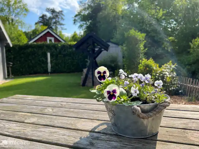 Boshuis De Dollenburcht | Pays-Bas, Drenthe, Spier - bungalow Jardin autour (3)