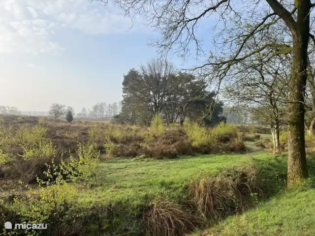 Boshuis De Dollenburcht | Pays-Bas, Drenthe, Spier - bungalow Sable de Terhorster (2)