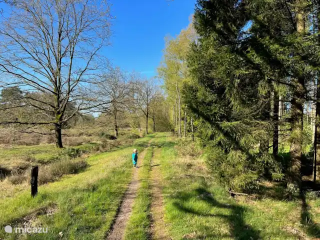 Boshuis De Dollenburcht | Pays-Bas, Drenthe, Spier - bungalow Sable de Terhorster (4)