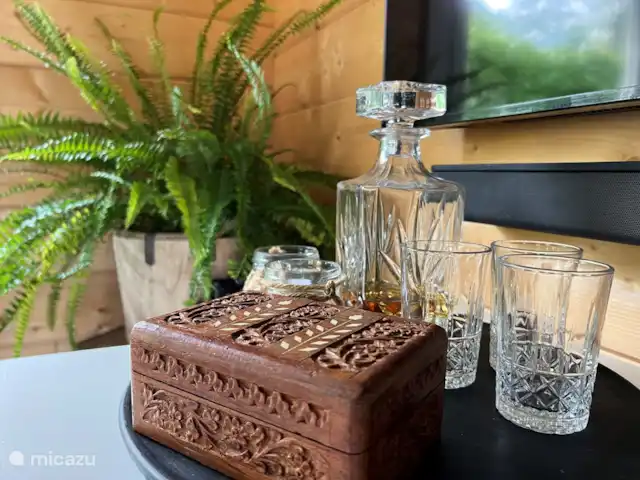Boshuis De Dollenburcht | Pays-Bas, Drenthe, Spier - bungalow Boîte à cigares et carafe