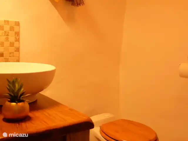 Location de Vacances France, Lot-et-Garonne, Penne d'Agenais, gîte / cottage - Gîte 'Le Pigeonnier' Toilette