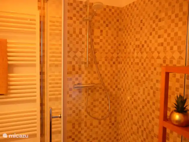 Location de Vacances France, Lot-et-Garonne, Penne d'Agenais, gîte / cottage - Gîte 'Le Pigeonnier' Cabine de douche 90 x 90