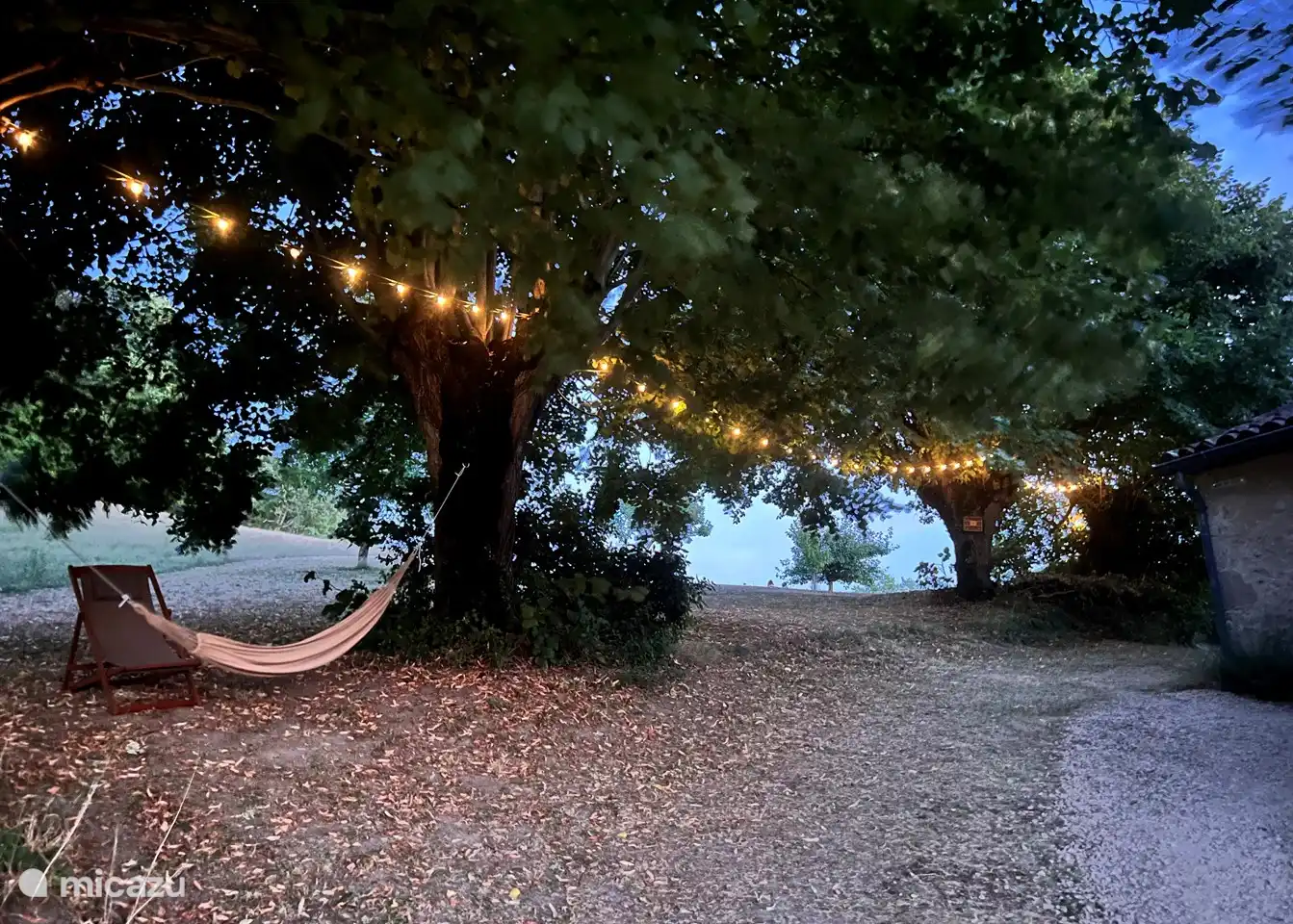 Chilling in the hammock