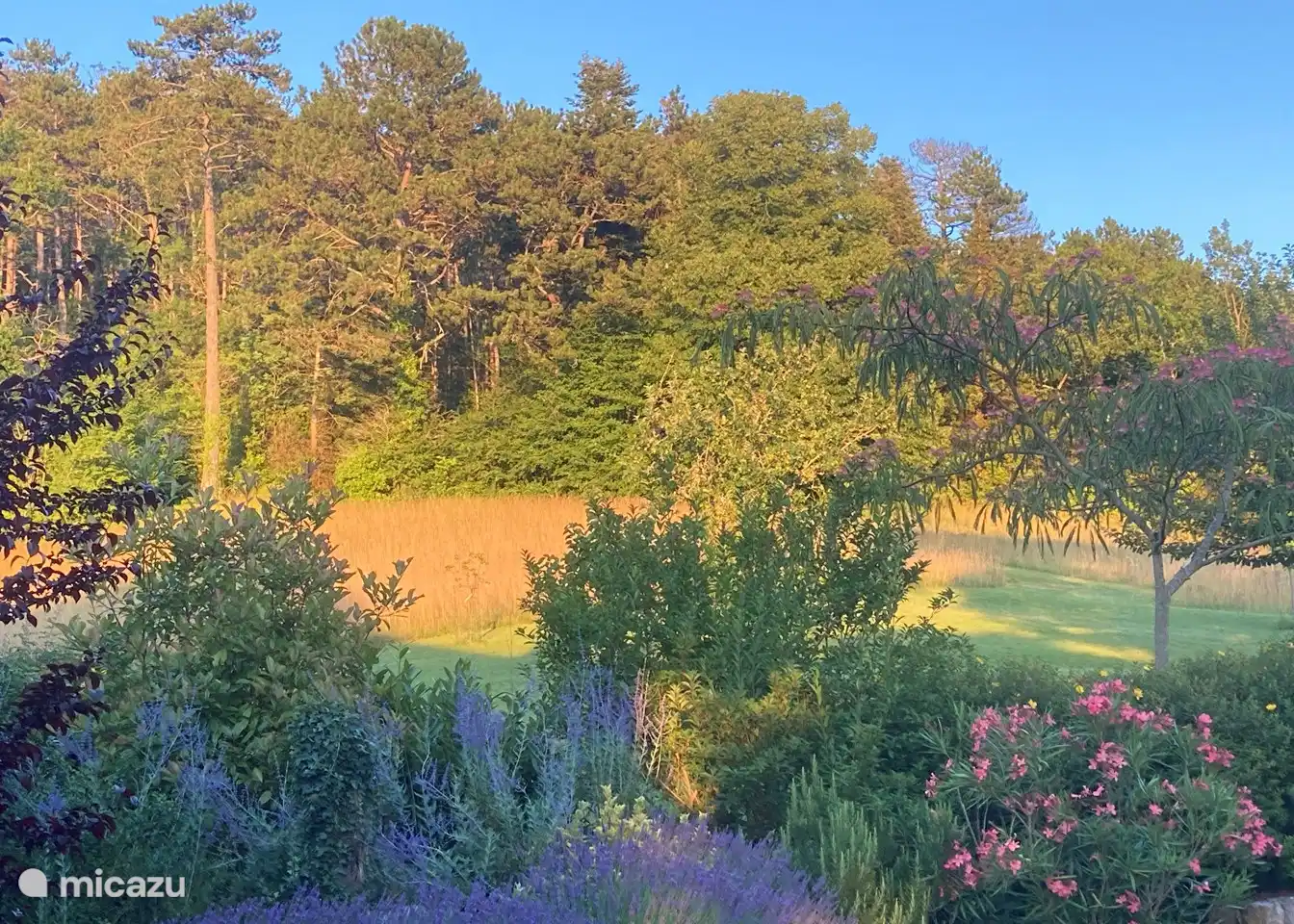 Growth and flowering everywhere ... Enjoy nature on our estate