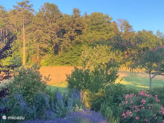alojamiento y desayuno en Francia, Lot y Garona, Penne d'Agenais – Bed and breakfast studio 'Pruneaux' Explosión de color en el patio trasero