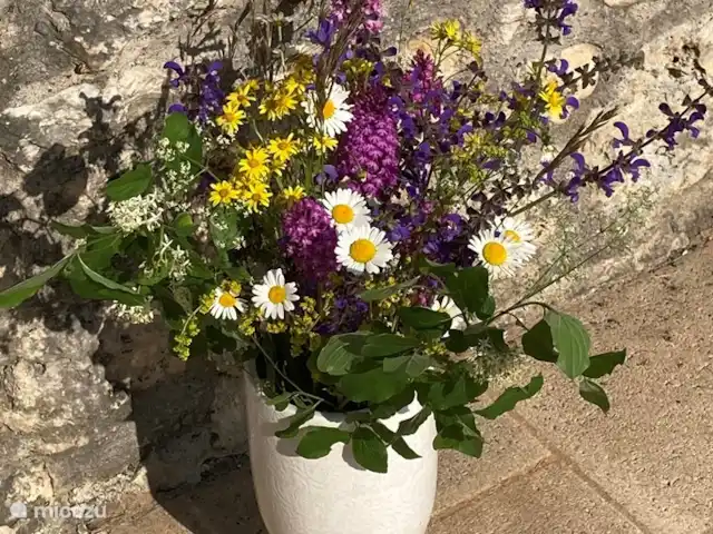 alojamiento y desayuno en Francia, Lot y Garona, Penne d'Agenais – Bed and breakfast studio 'Pruneaux' Las flores crecen en nuestra finca