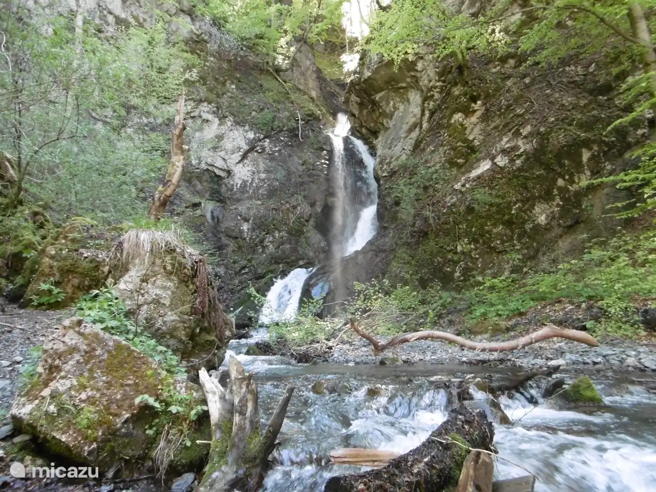 La cascade juste à côté de la maison. Accessible par le sentier escarpé (que les enfants aiment emprunter) ou par un sentier de randonnée un peu plus plat. Une belle cascade avec de l’eau glacée.