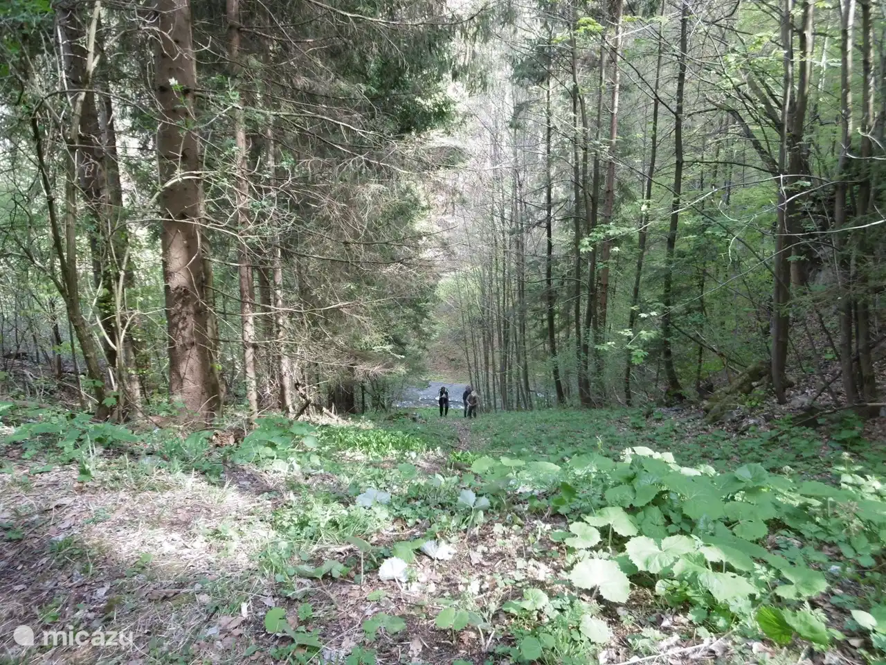 C’est le chemin escarpé vers la cascade. 