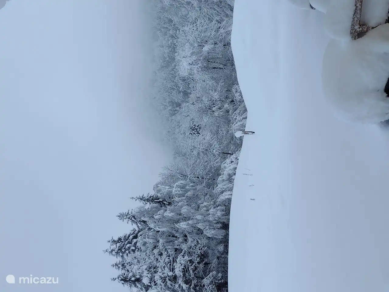 Féérie hivernale dans la cour avant :-)