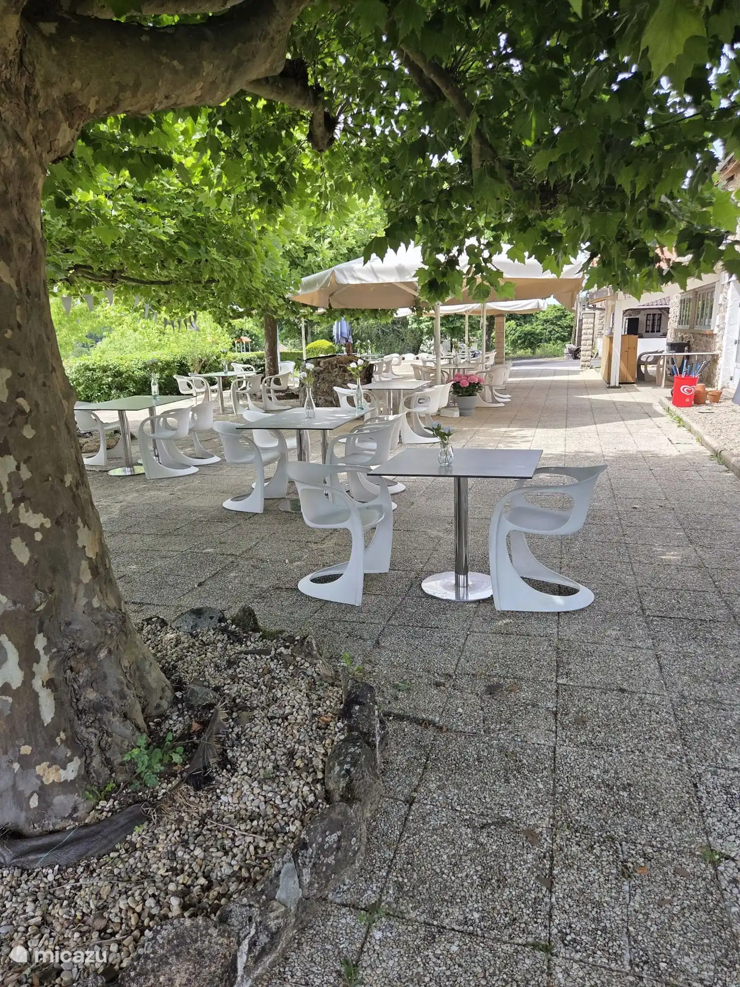 Restaurante y terraza en el parque