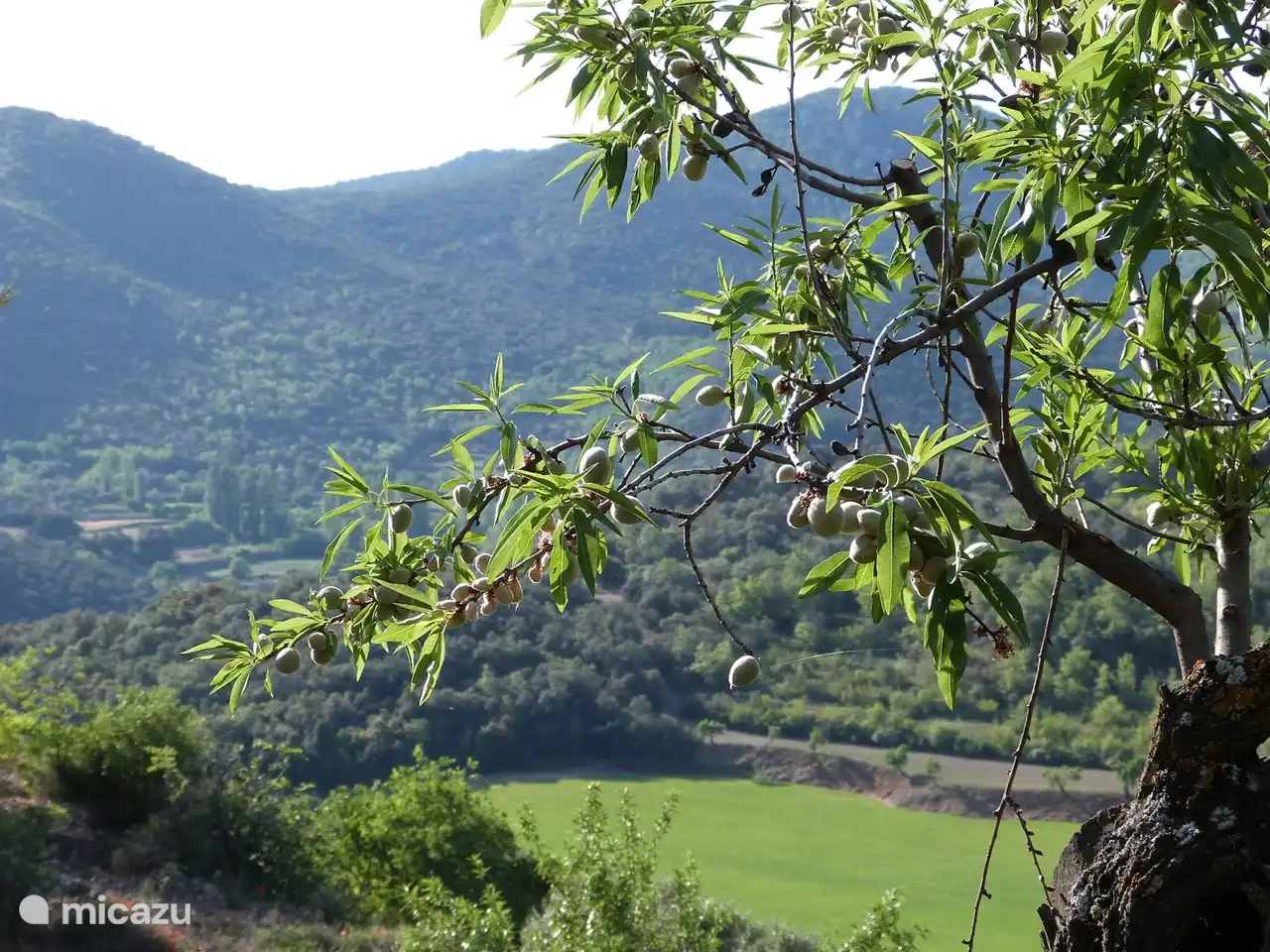 view at Casa del Maestro