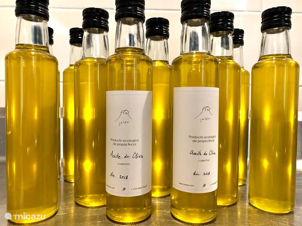 Own virgin cold-pressed olive oil from our ecological finca
