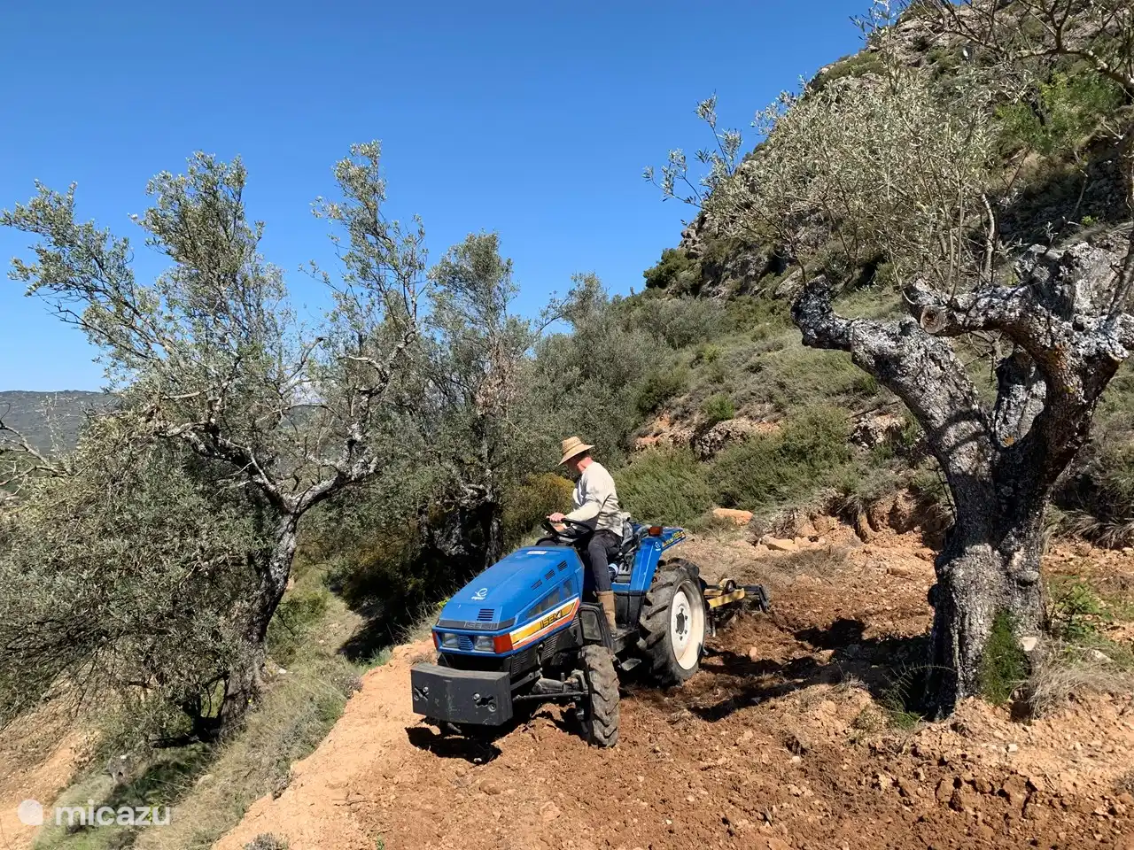 Always work to do on the finca